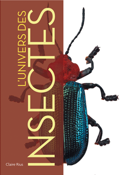 Insectes